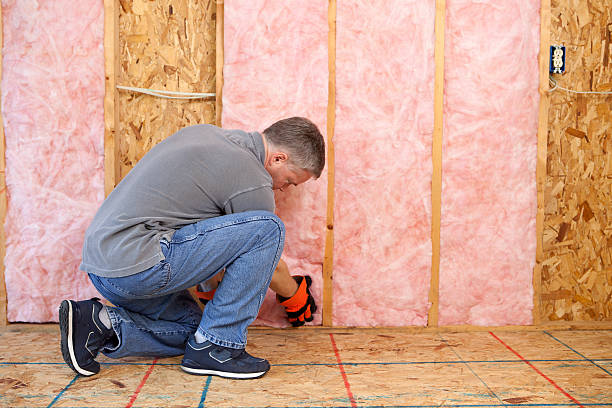 Best Insulation Inspection Services  in Farmingville, NY